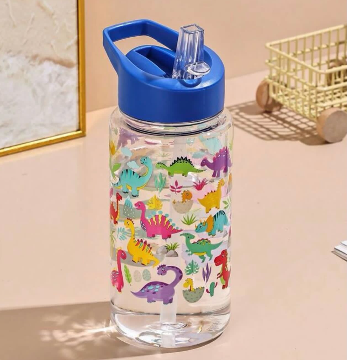 500 ML Blue Water Bottle