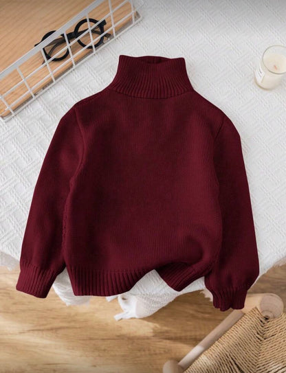 Burgundy Knit Sweater